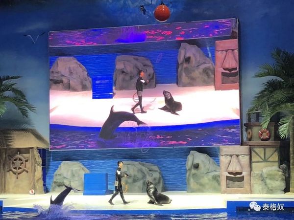 微信图片_20181005174746.jpg