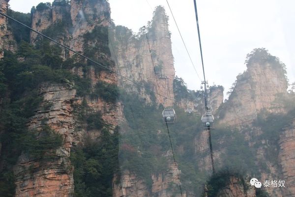 微信图片_20181005174703.jpg