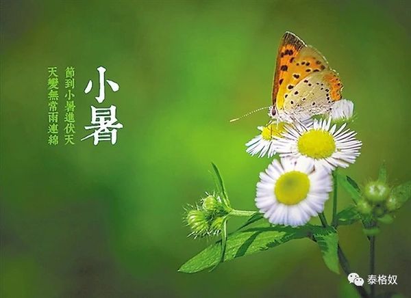 微信图片_20180709133205.jpg
