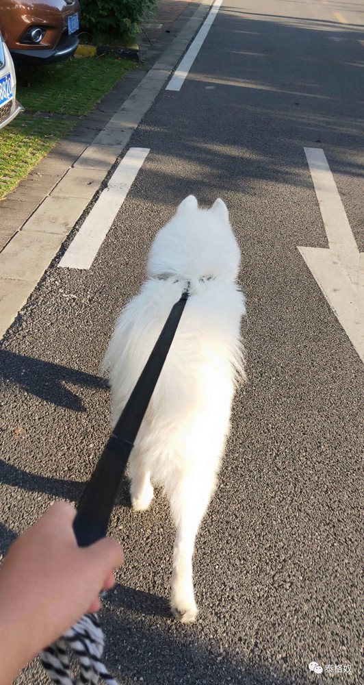 微信图片_20181005174750.jpg